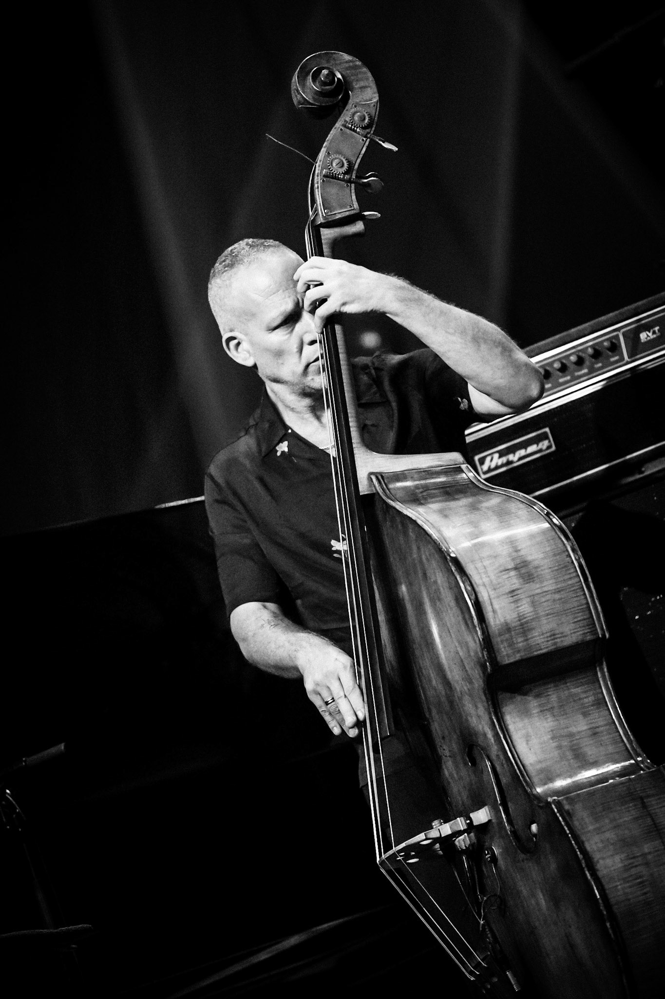 Avishai Cohen, Festival Jazz de Longjumeau, Théâtre de Longjumeau