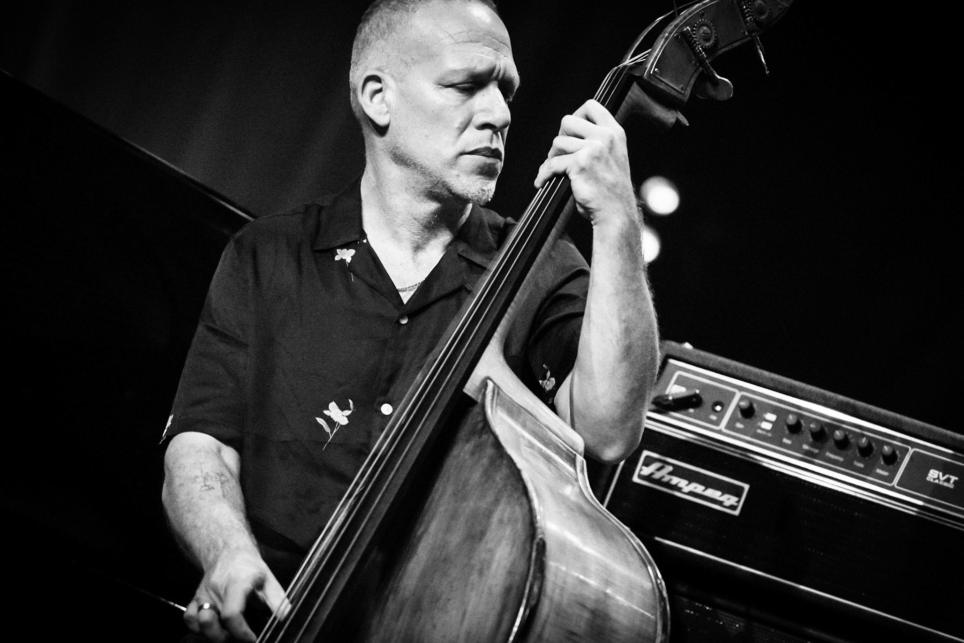 Avishai Cohen, Festival Jazz de Longjumeau, Théâtre de Longjumeau
