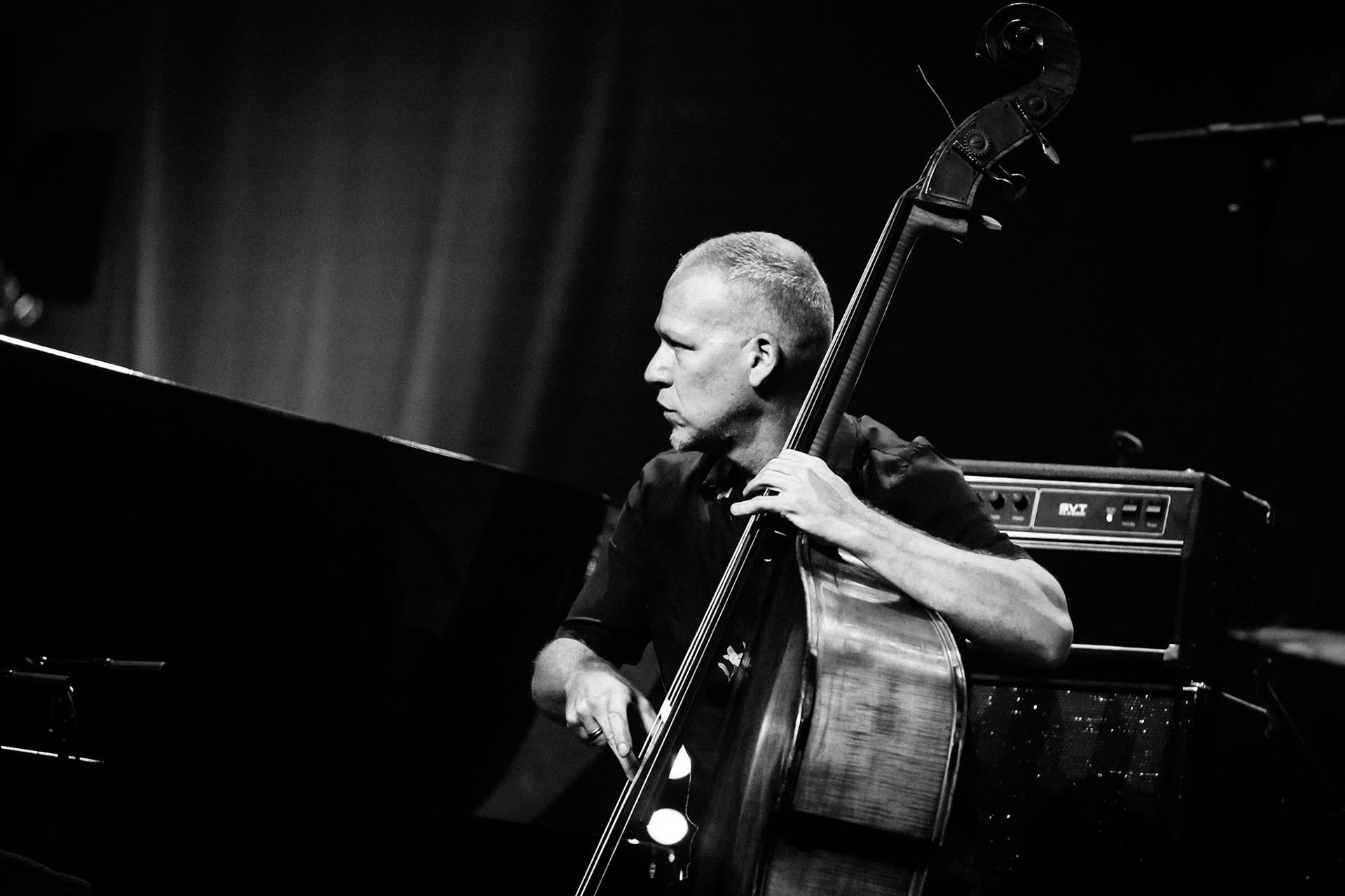 Avishai Cohen, Festival Jazz de Longjumeau, Théâtre de Longjumeau