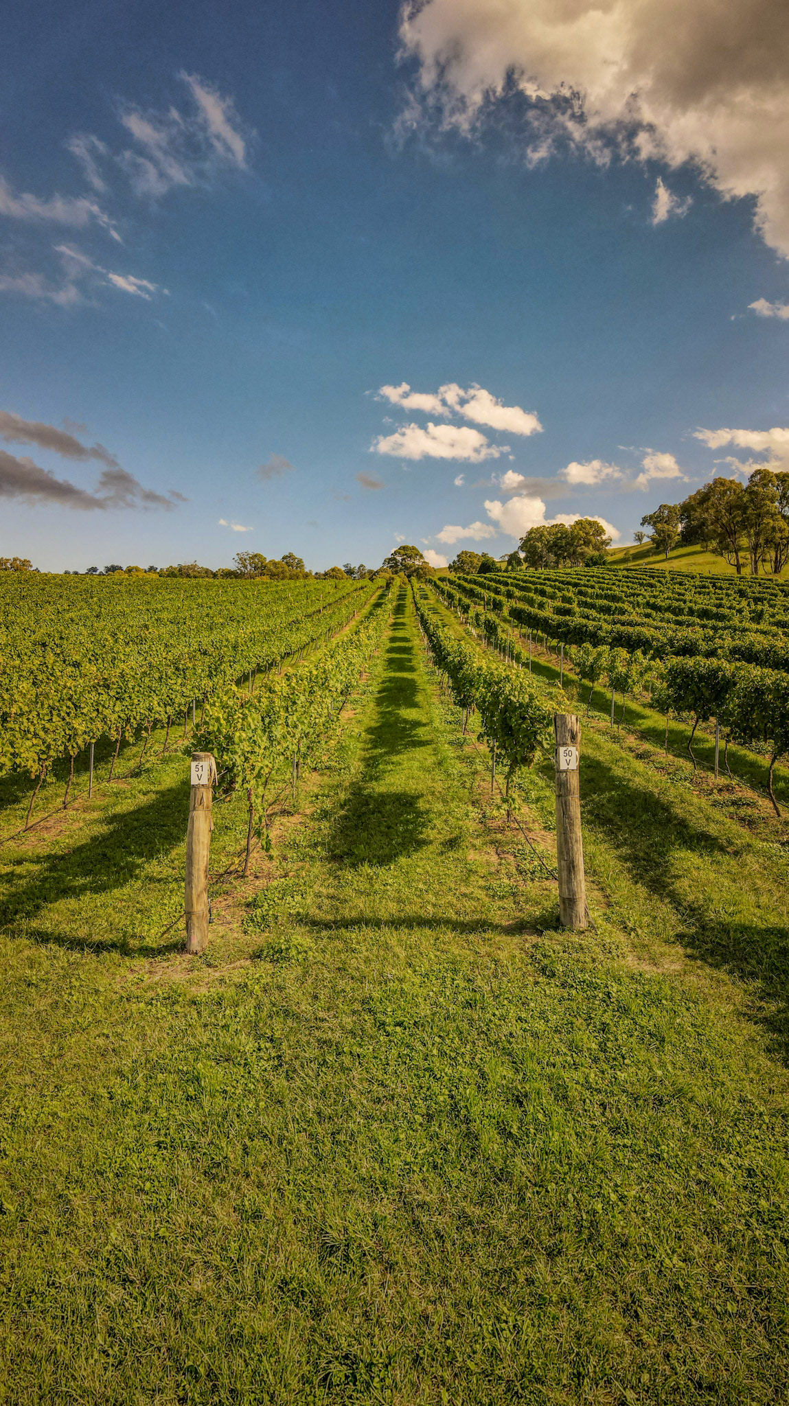 Winery at Megalong Valley, Blue Mountains, Australia