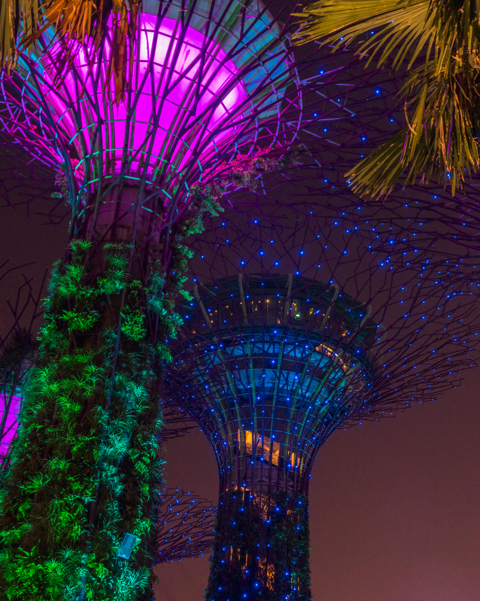 Gardens by the Bay, Singapore