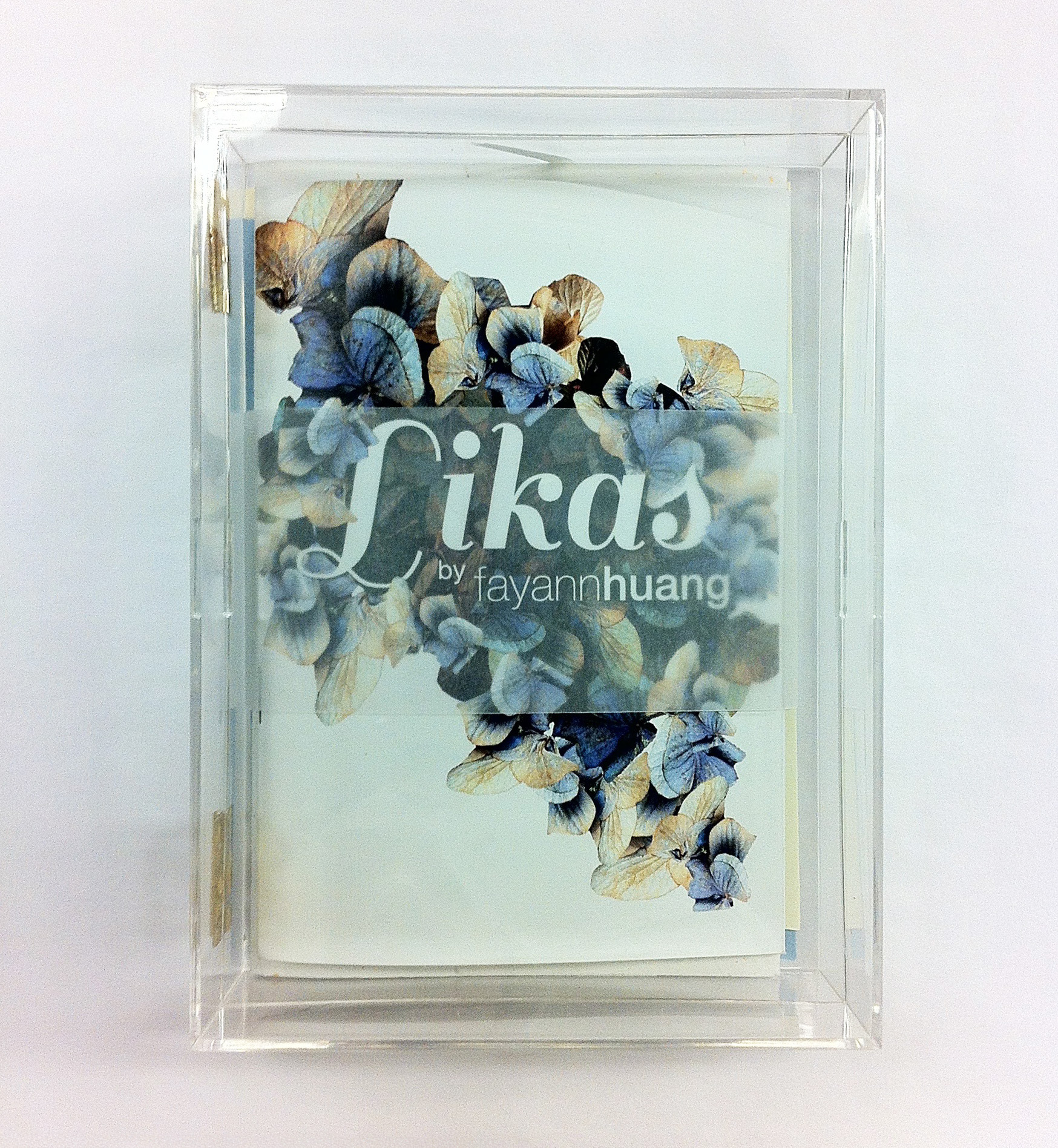 Full Presskit Package with Lookbook and clear box