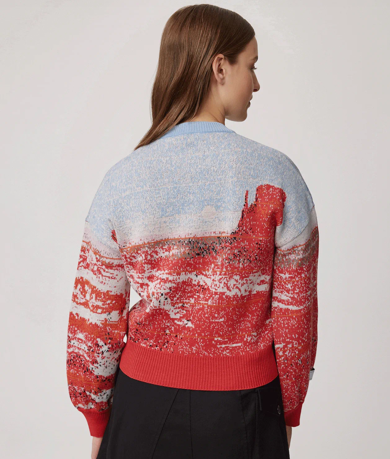 Rokh Landscape Jacquard Knit Sweater back view