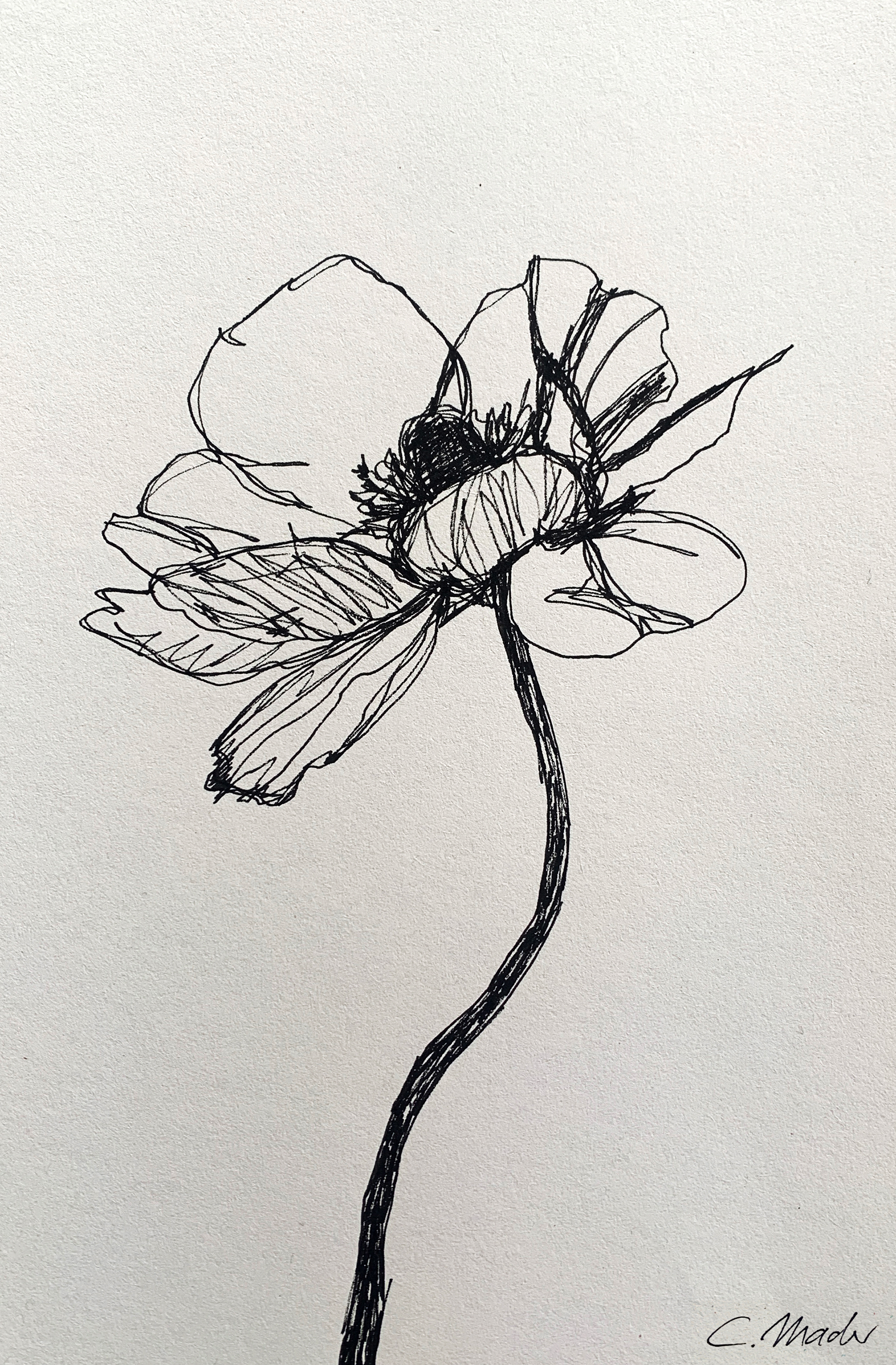 Tuscheillustration einer Blume mit Stil