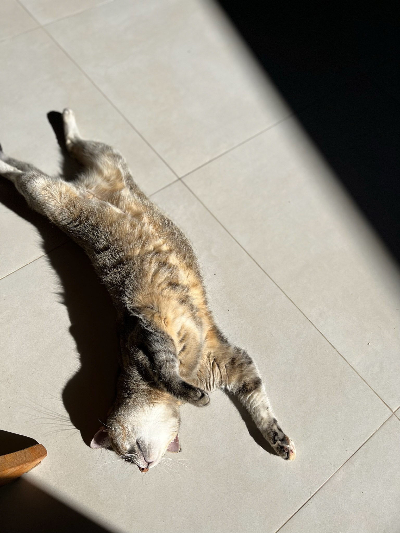 light and shadow of indoor life