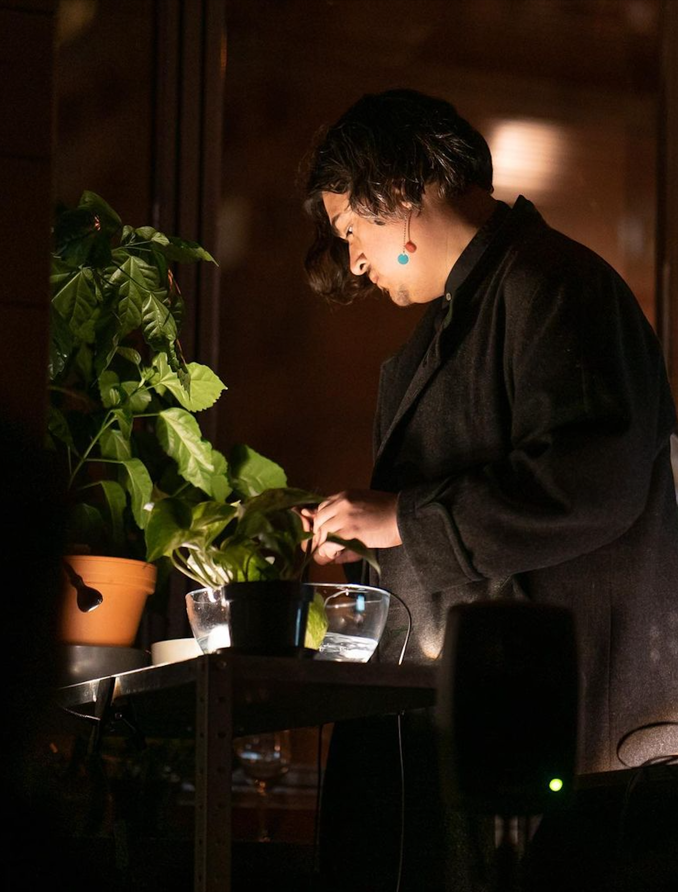 HMOT photo by Matej Kautman 