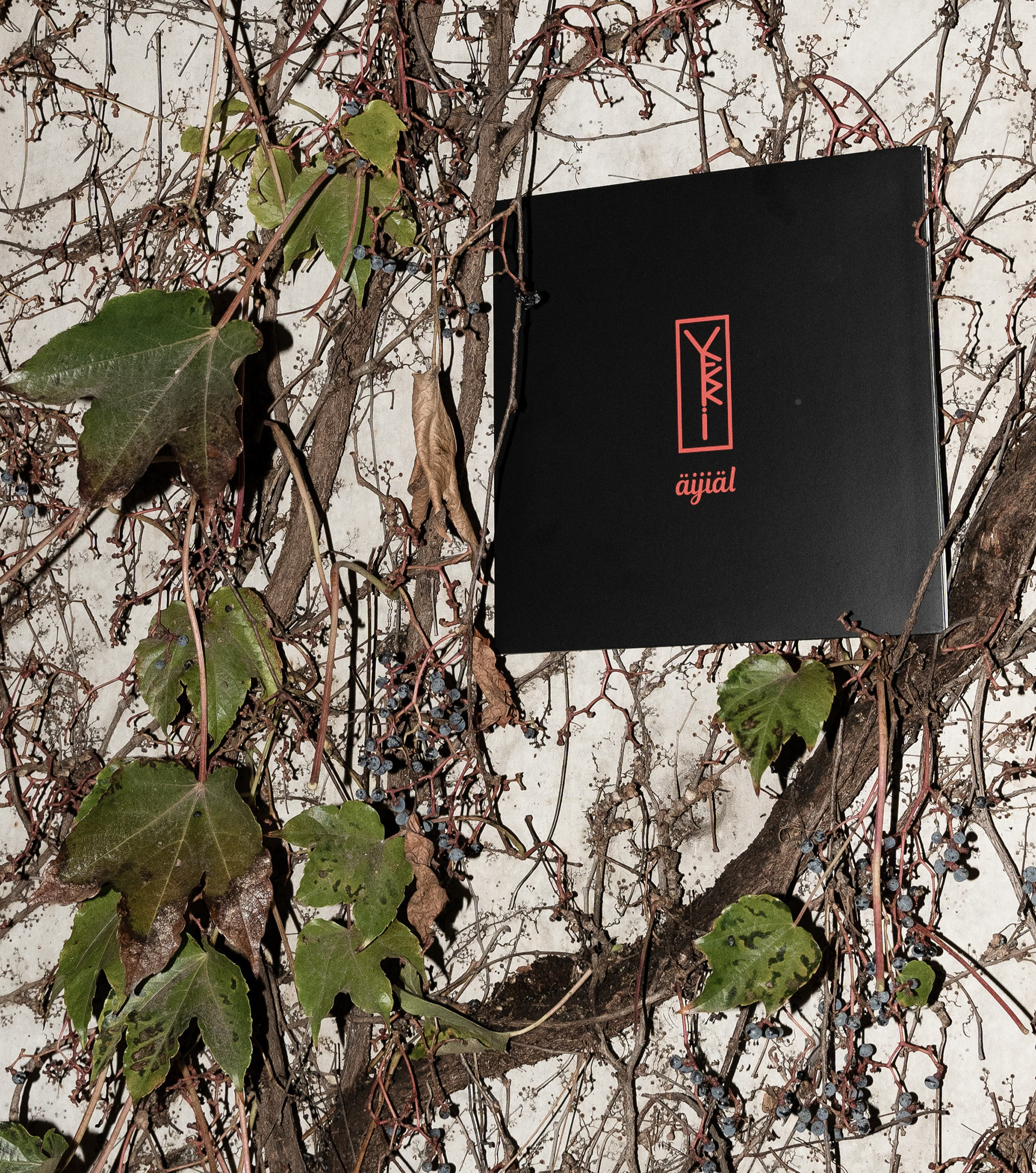 Veri "äijiäl" vinyl photo by Sveta Maximova