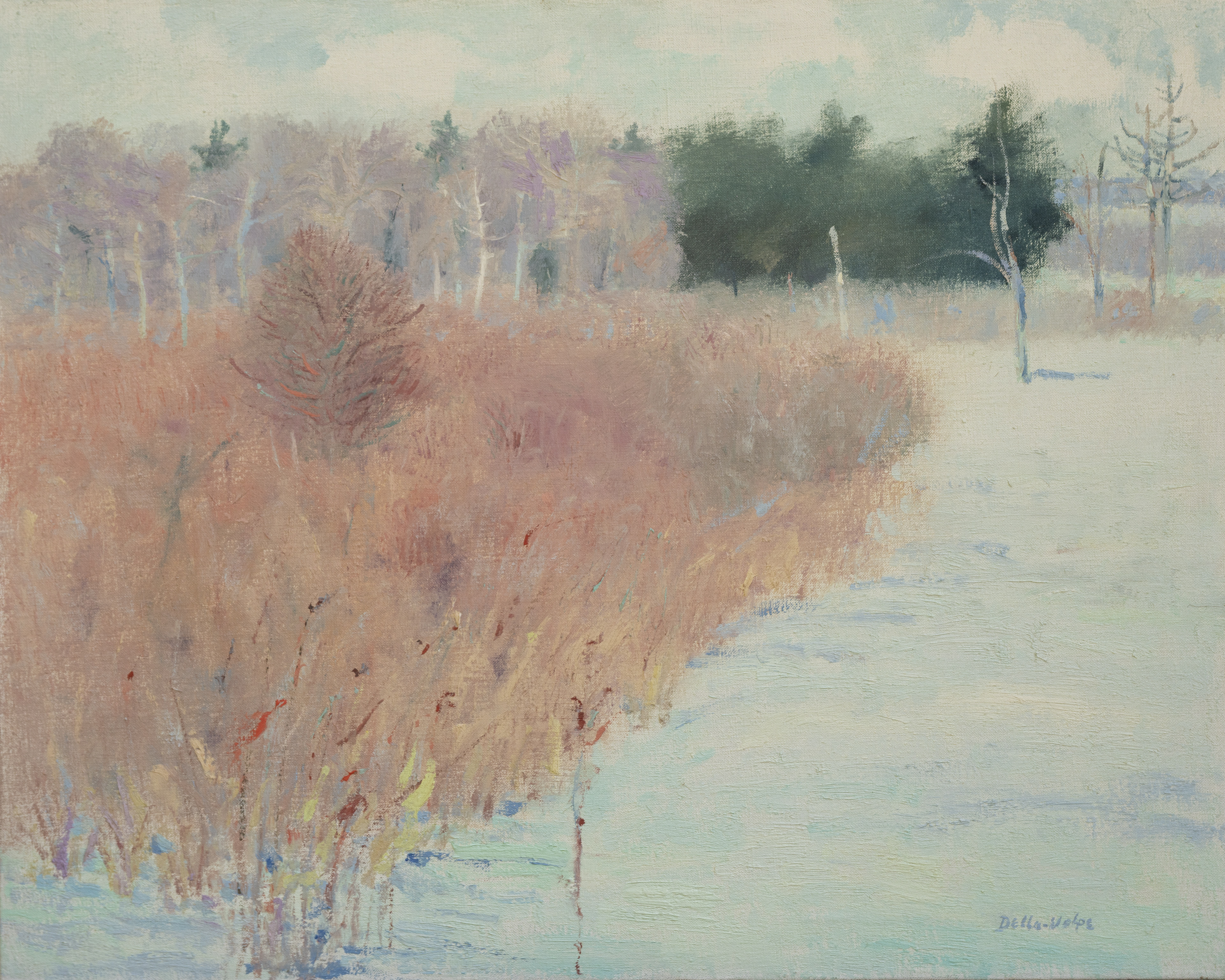 "Frozen Swamp" 24x30k,o/c, slr (Jan 1987)