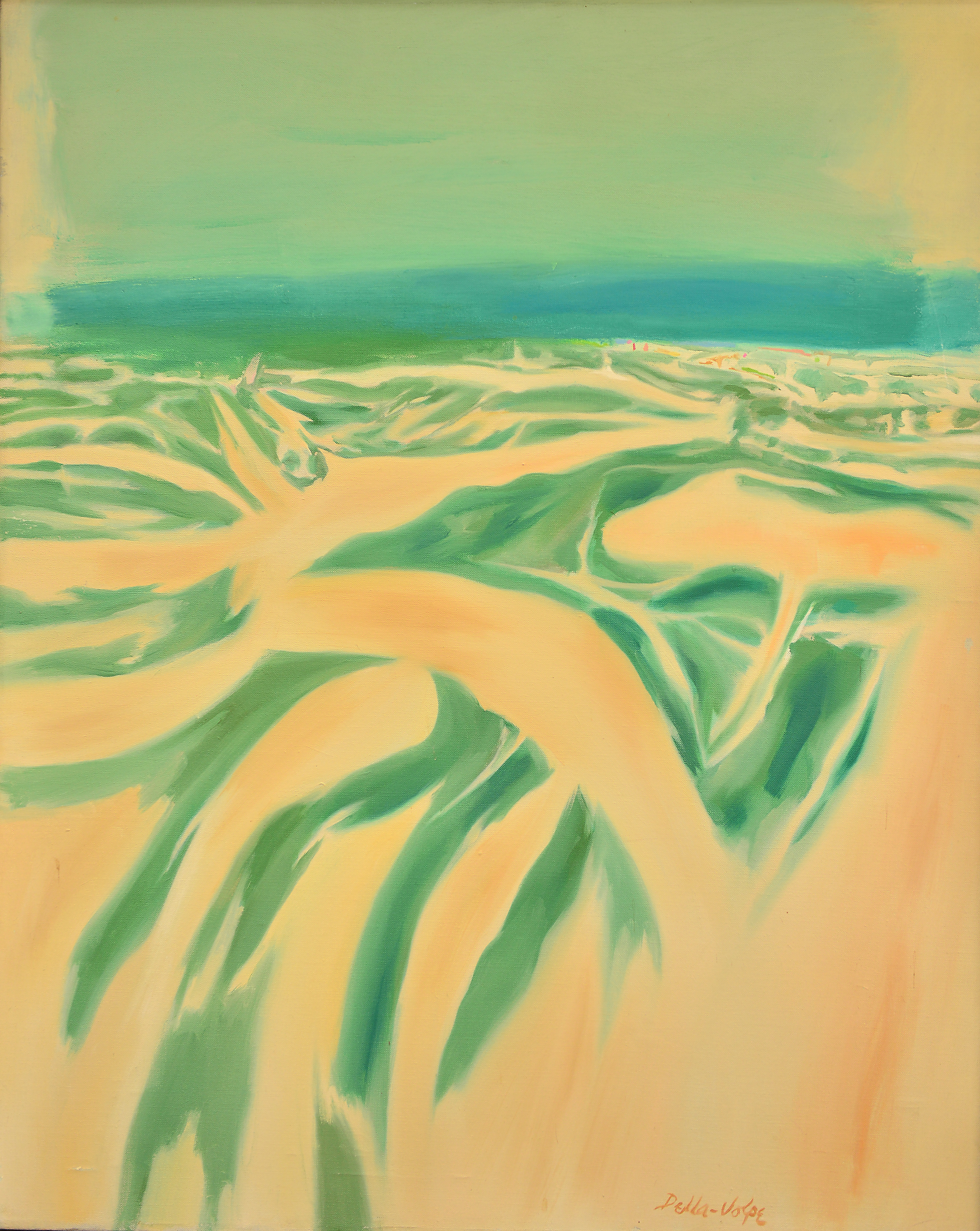 Beach Grass and Beach Sand