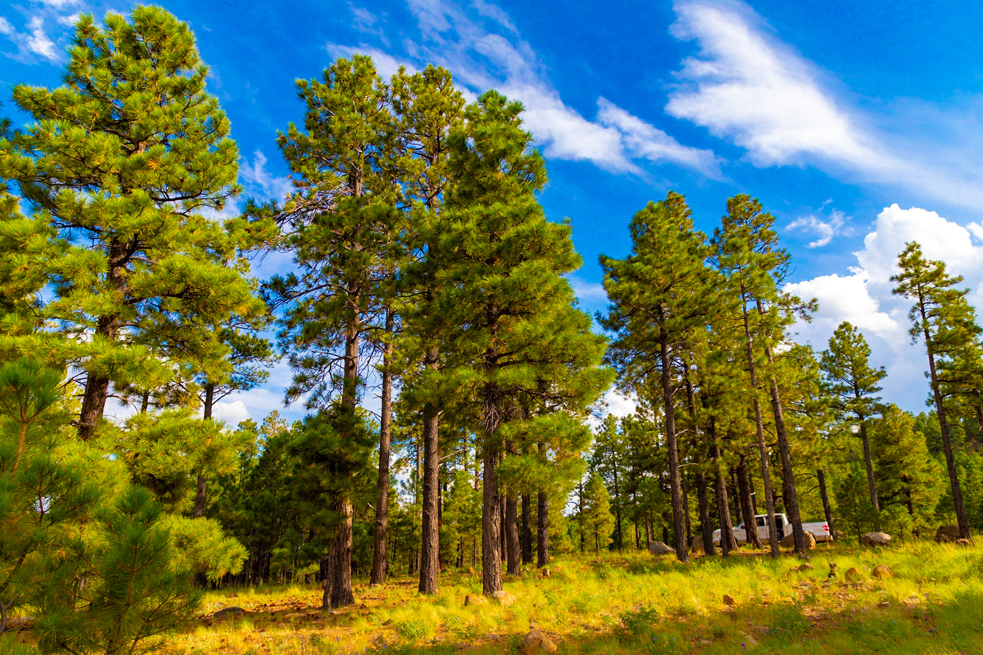 Vibrant Basin Trail
