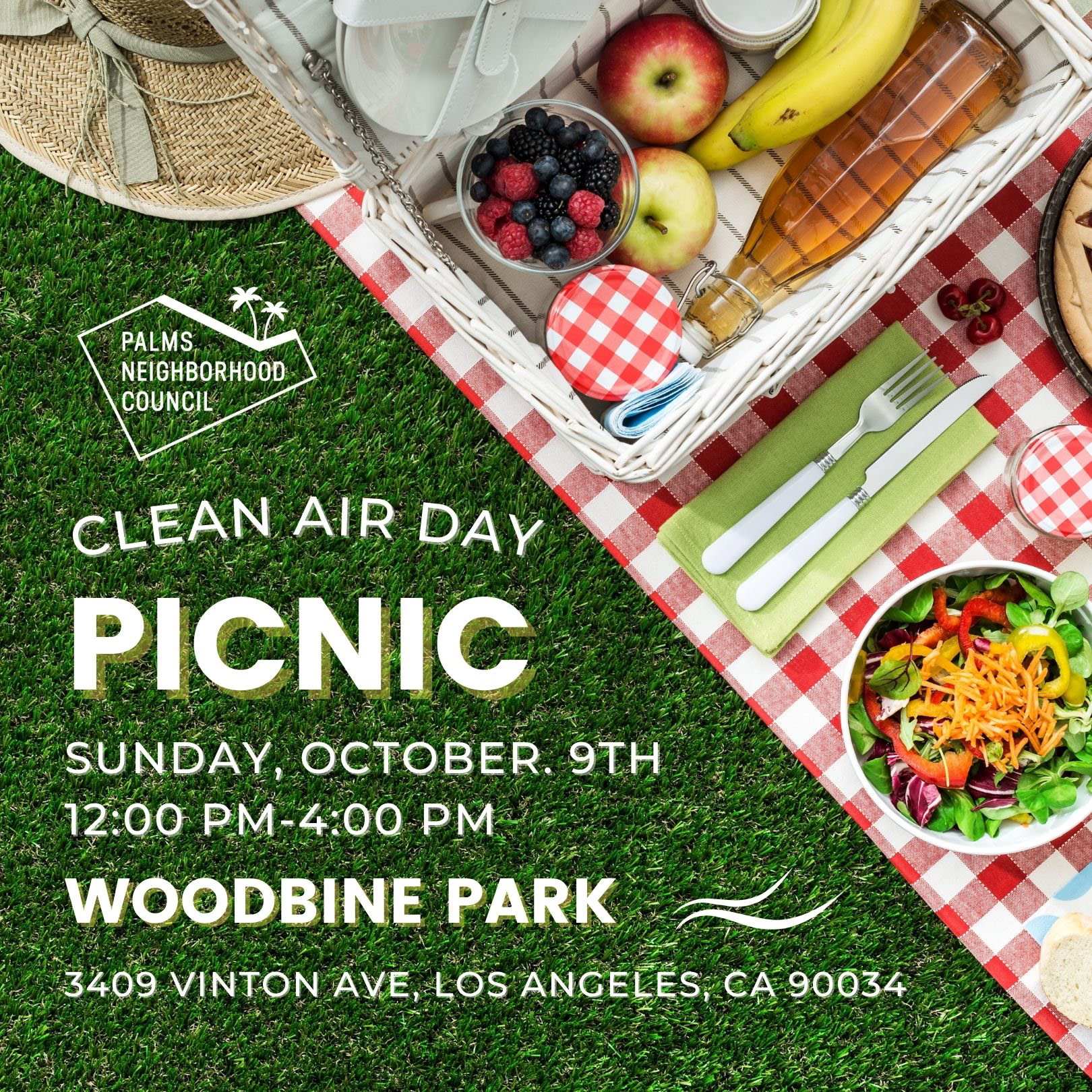 CLEAN AIR PICNIC IN WOODBINE PARK