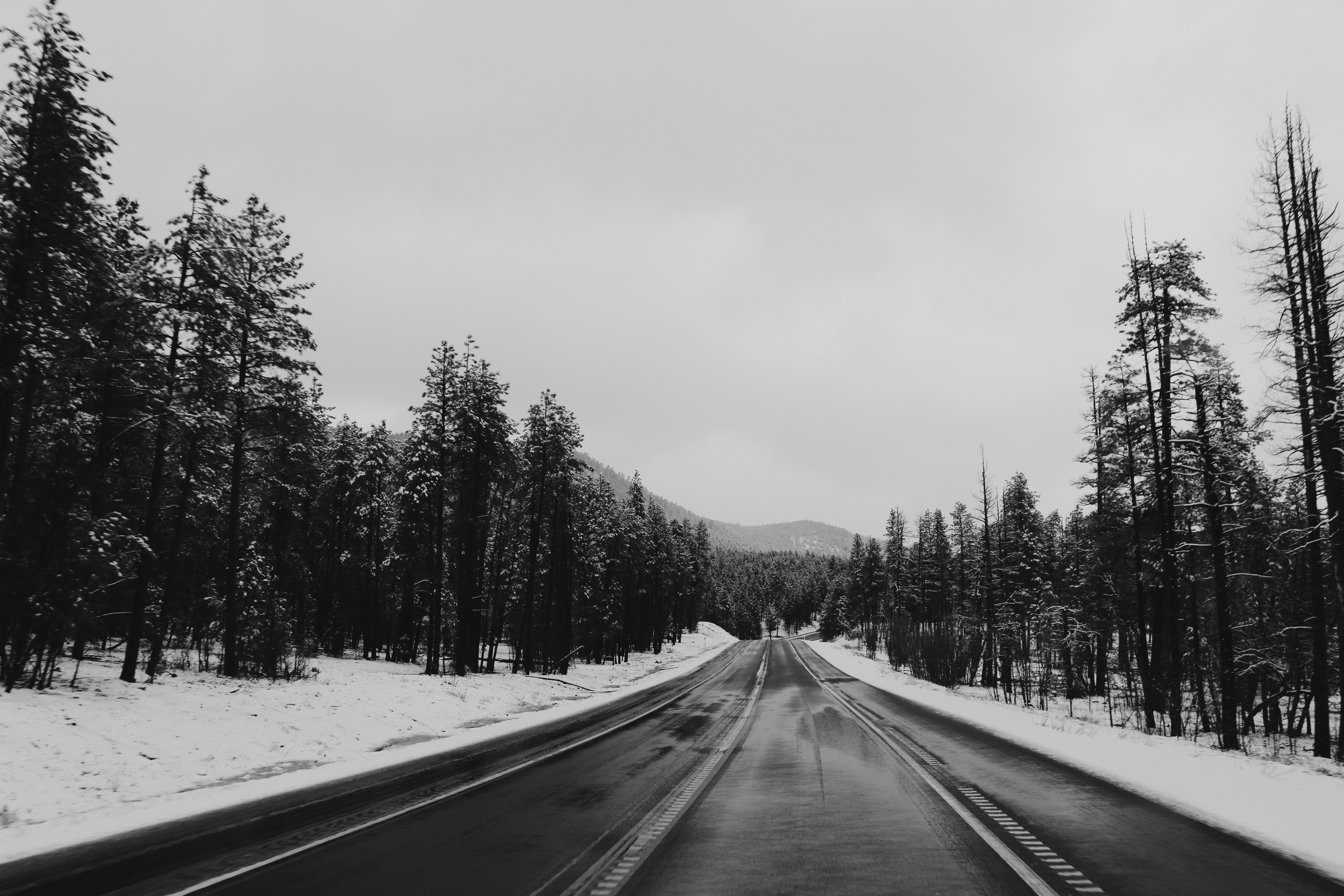 Snowy mountain road; Sedona, Arizona; March 2020.