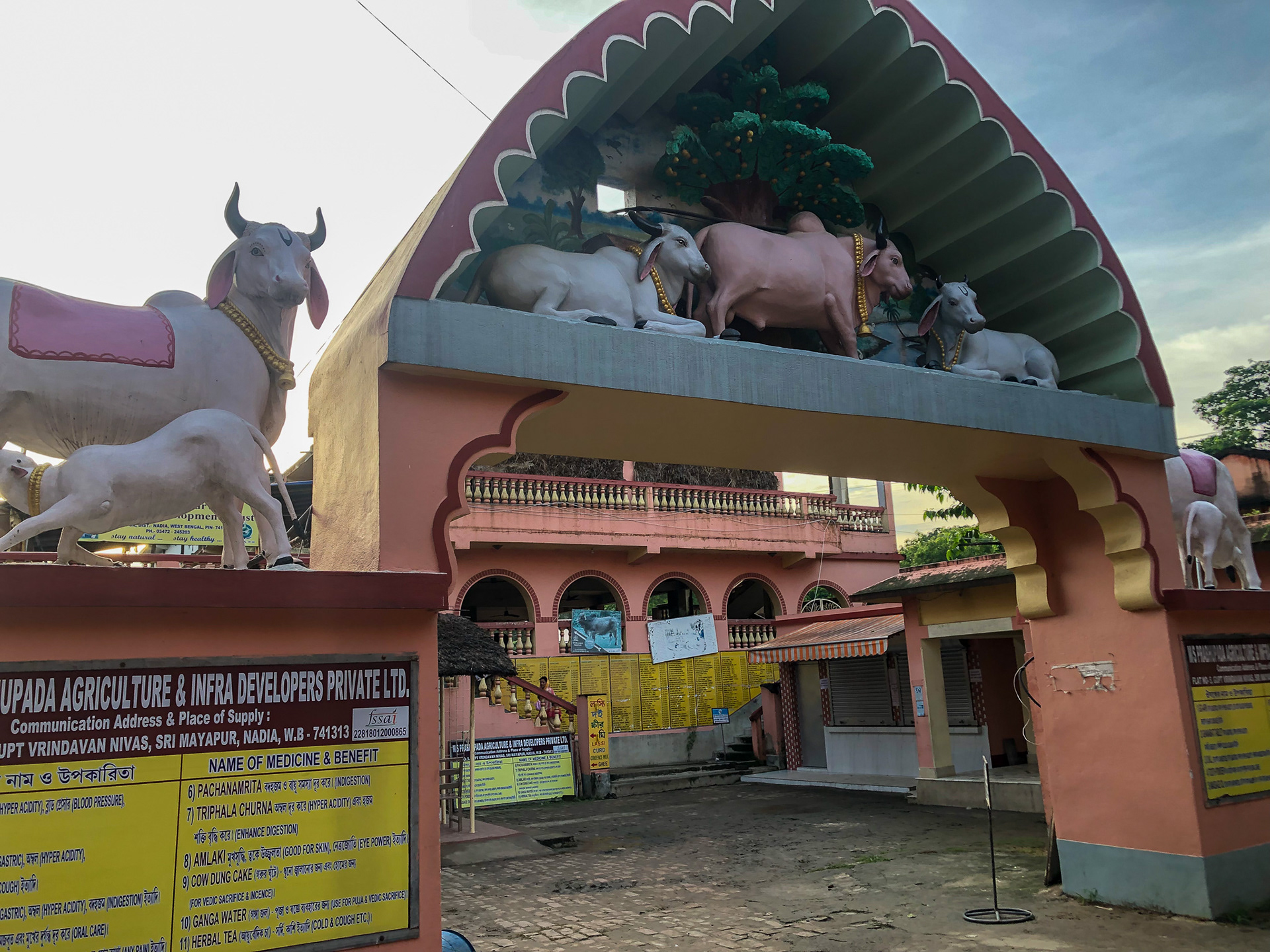 ISKCON Gaushala pics