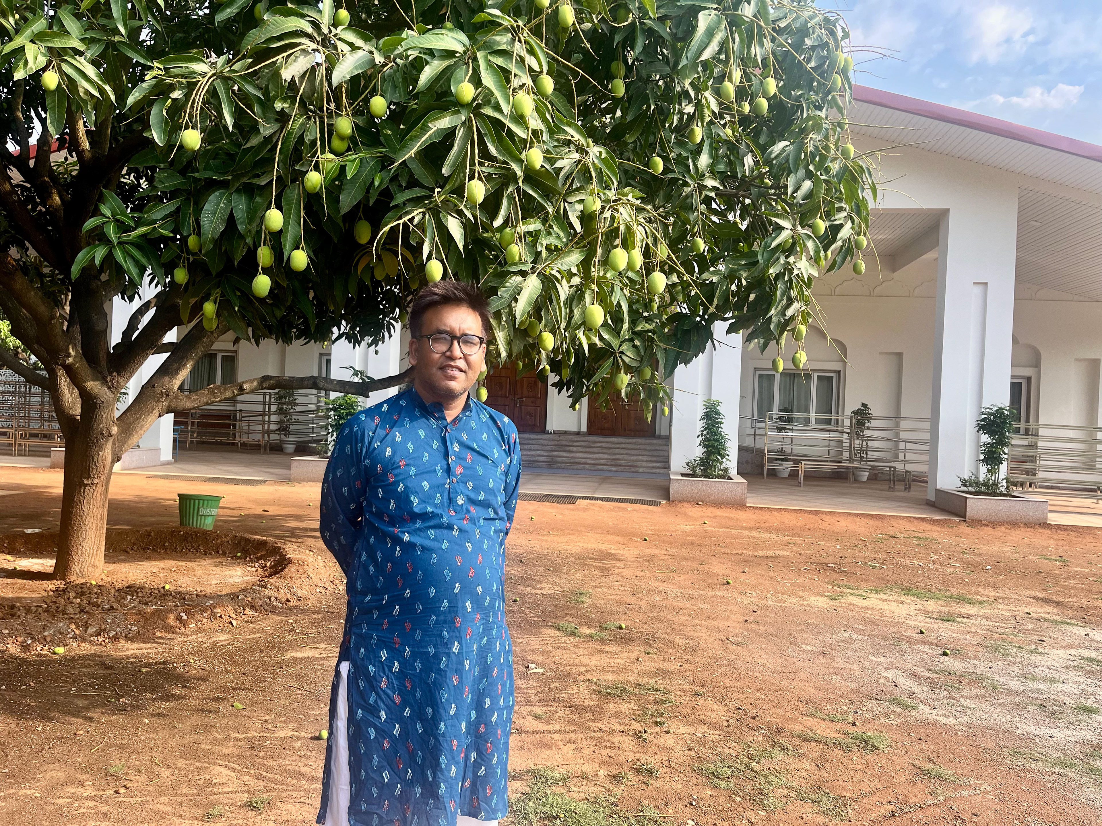 Ripe Mangos at Ranchi Ashram