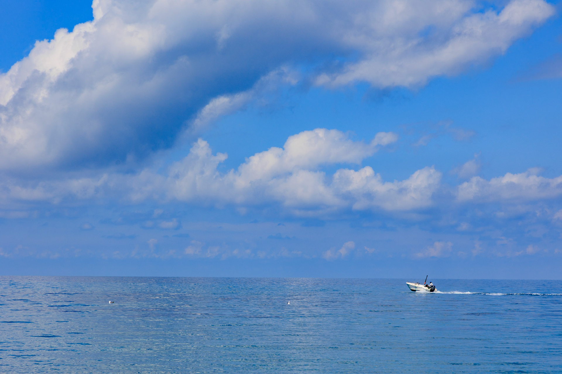 Rushing to the horizon