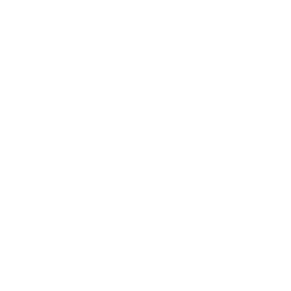 Level