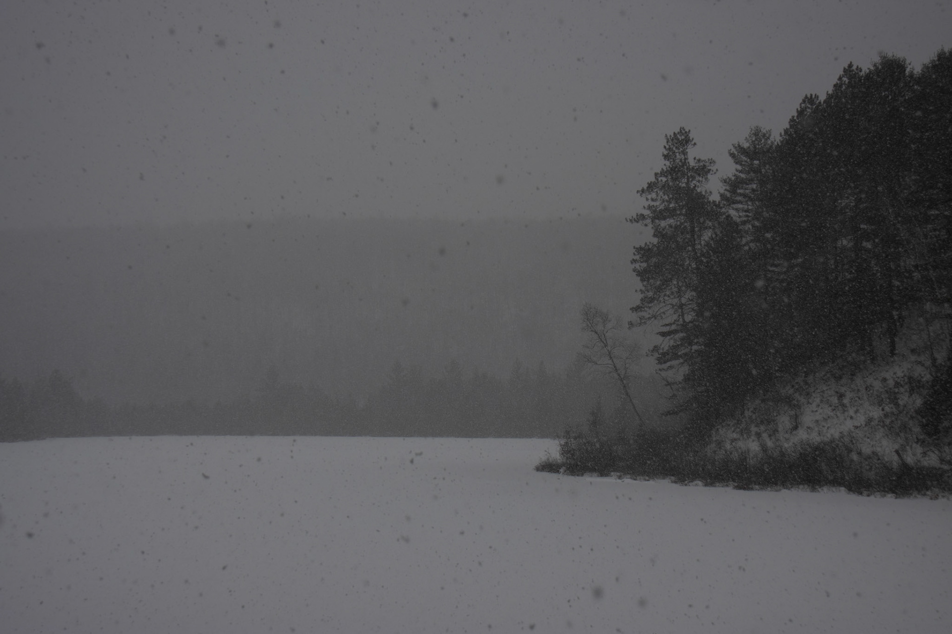 Family Ski #4 - landscape