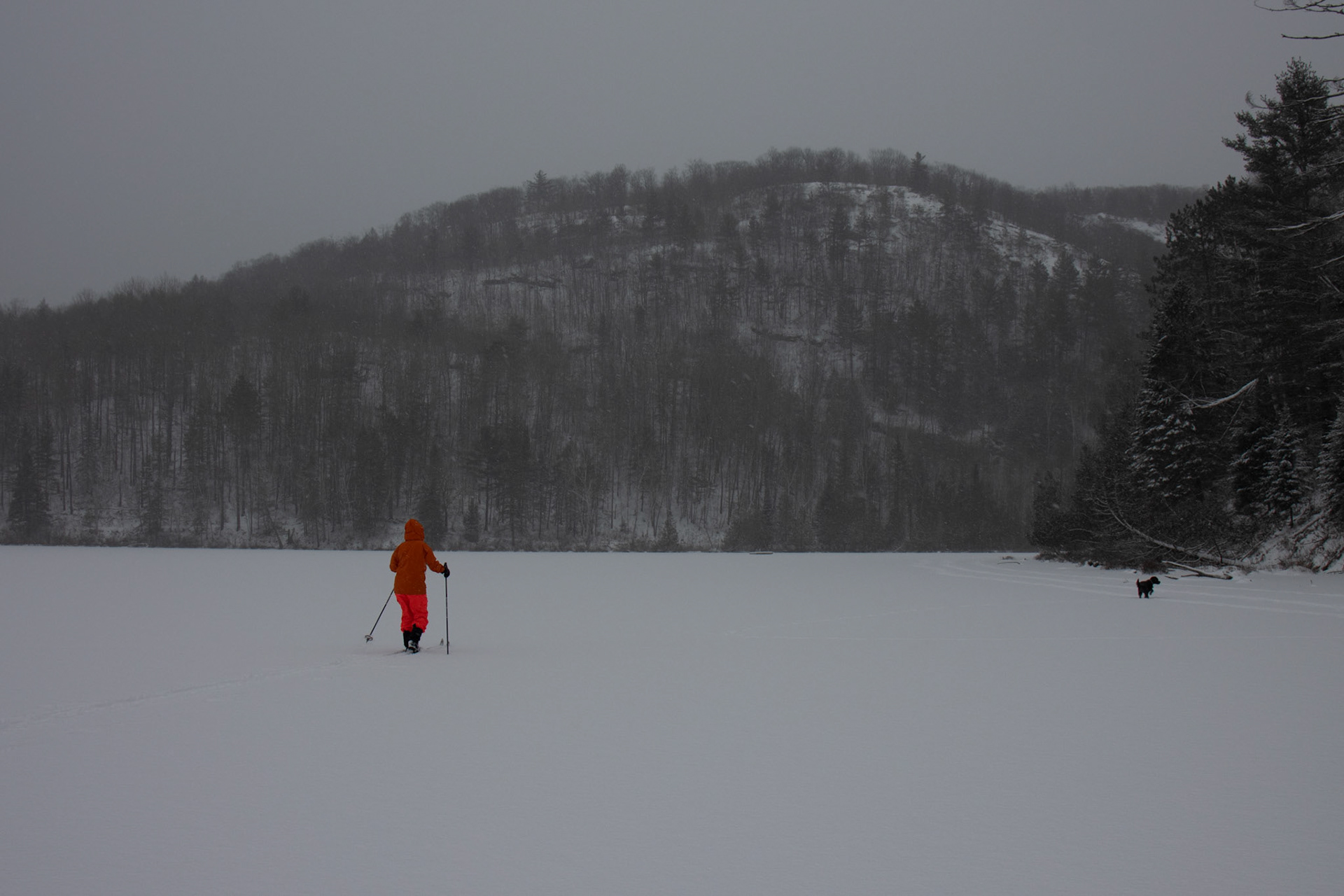 Family Ski #2 - feat.Summer