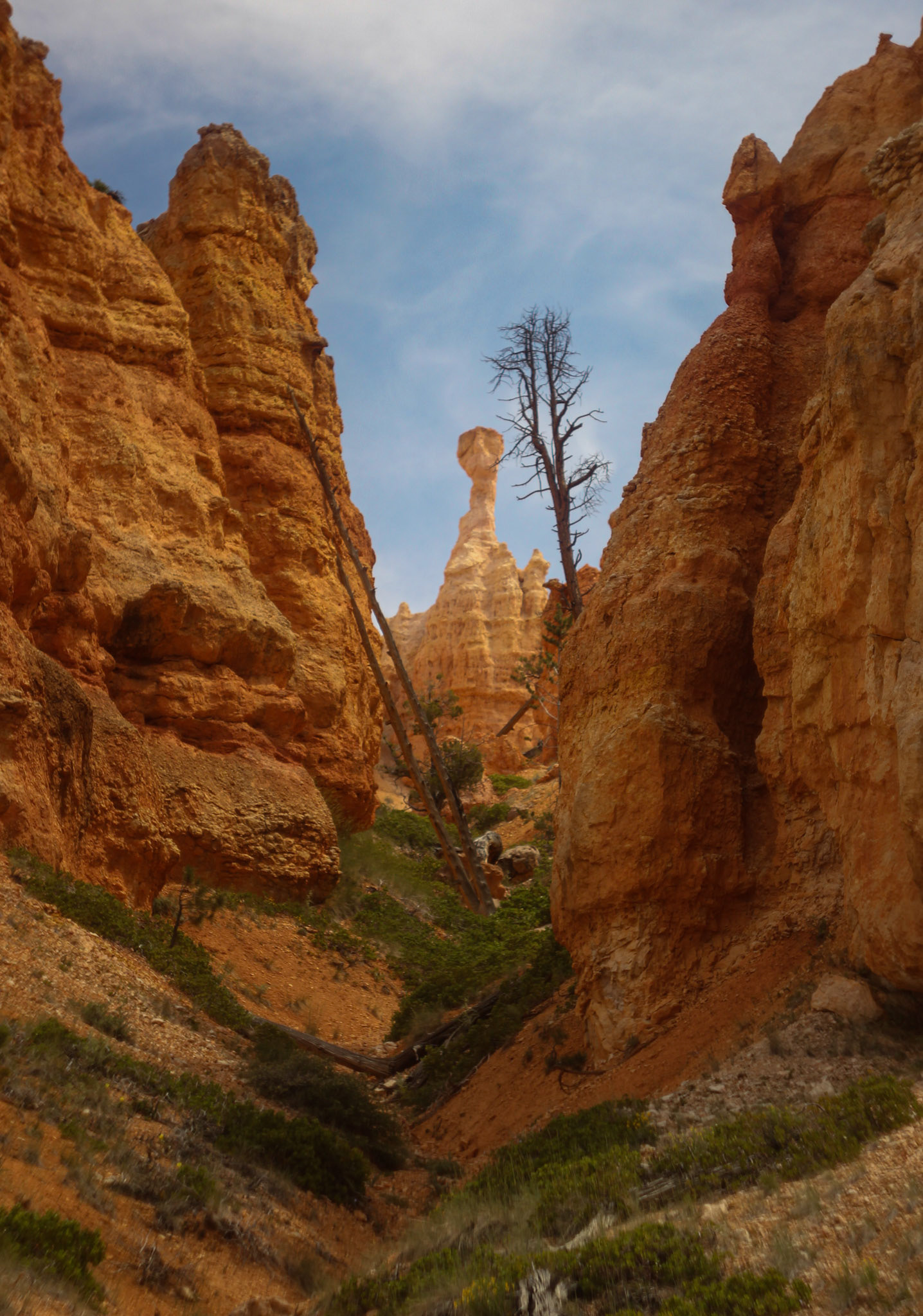 Thors Hammer, Bryce Canyon.