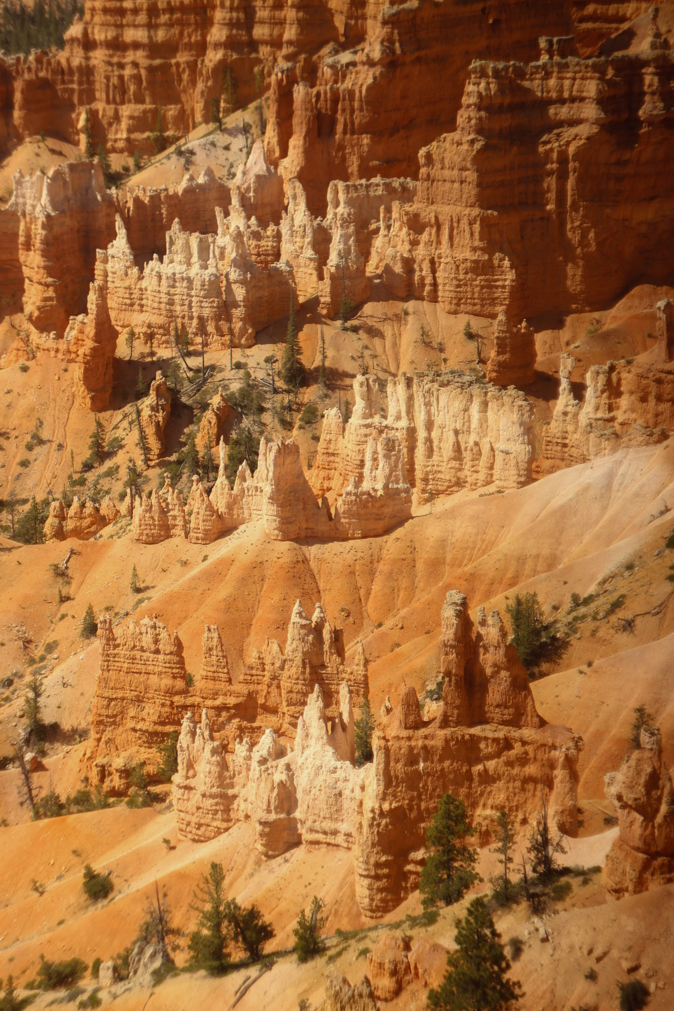 Bryce Canyon