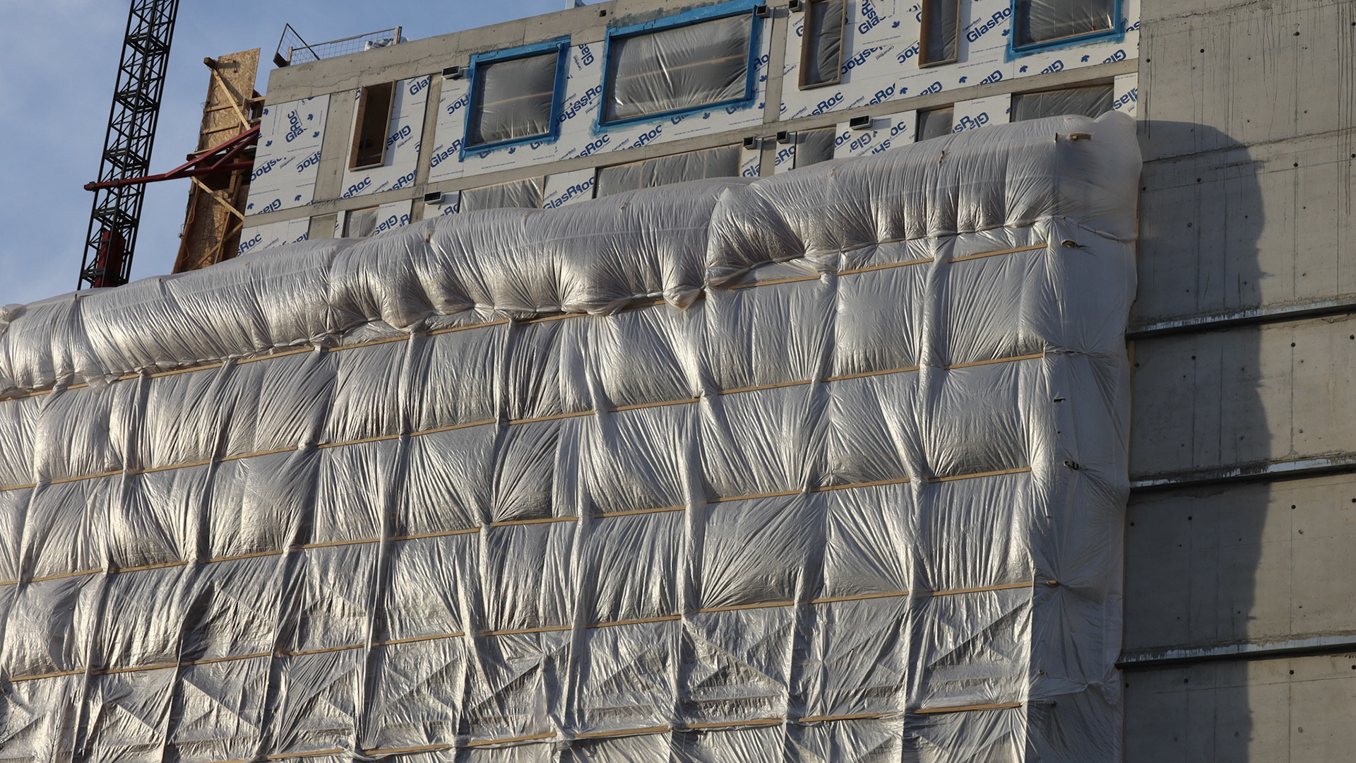 ~2020 on a walk and noticed some nice lighting so i grabbed a quick shot.