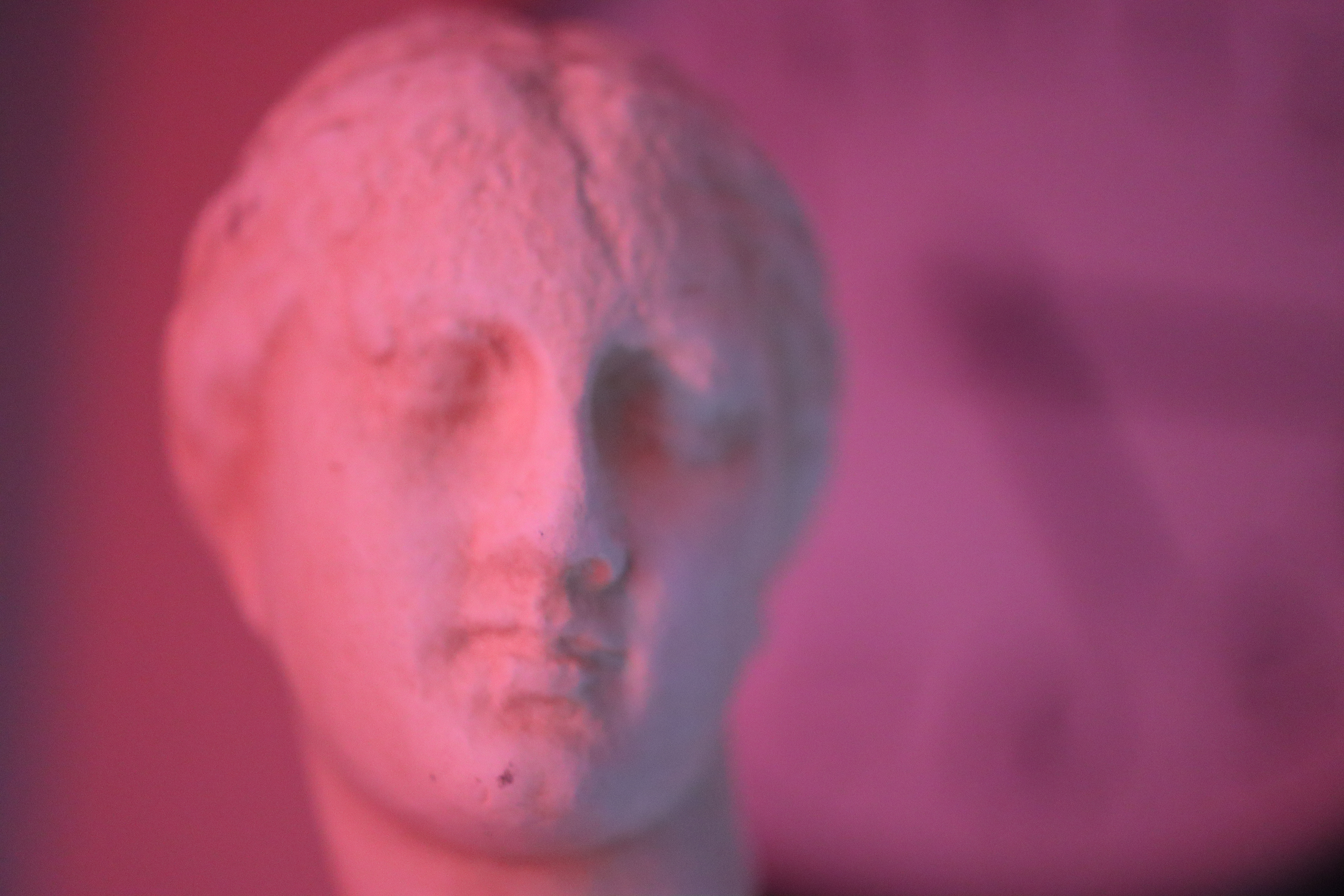 Artemis, goodess of the hunt