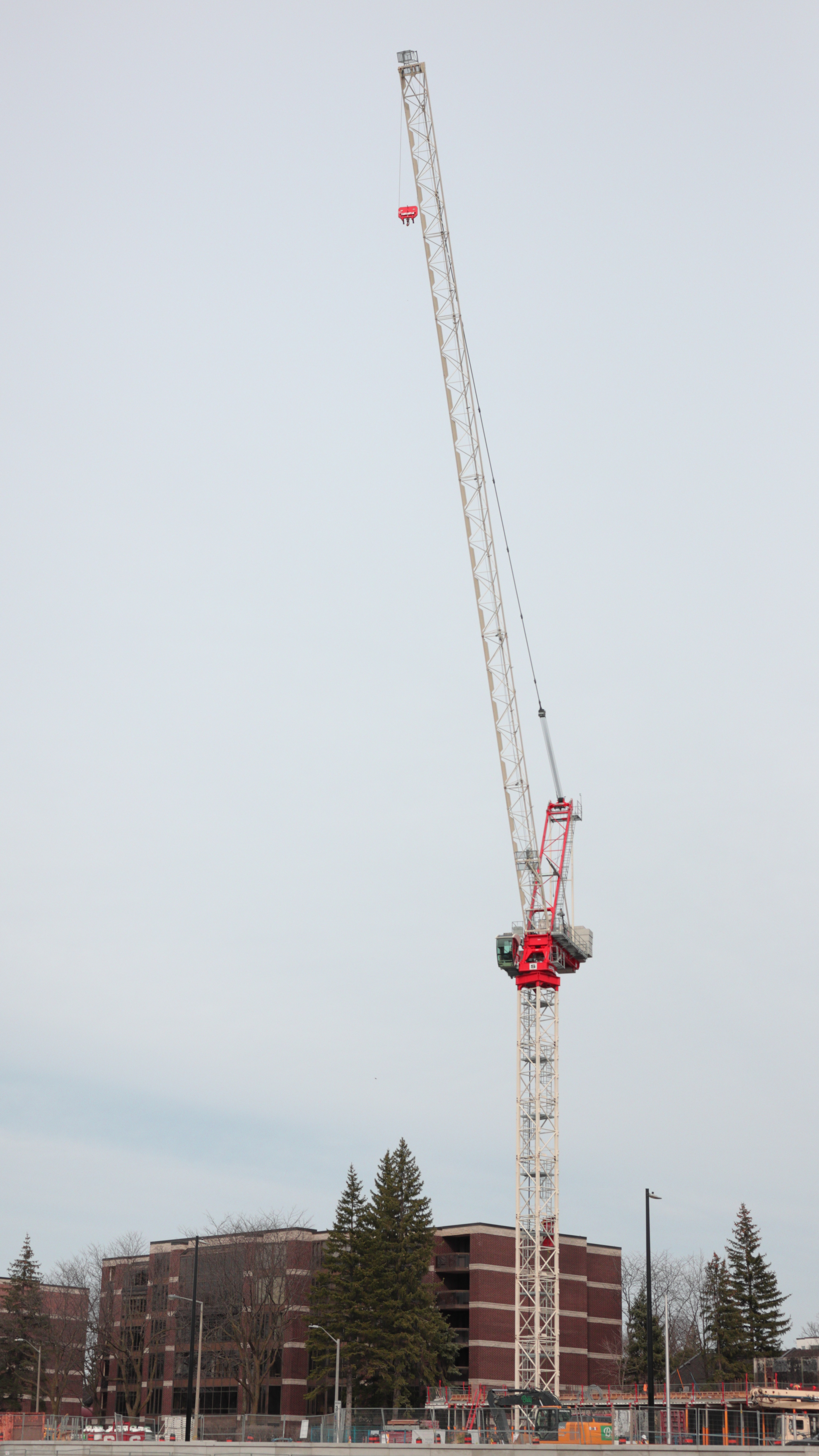 Crane 3