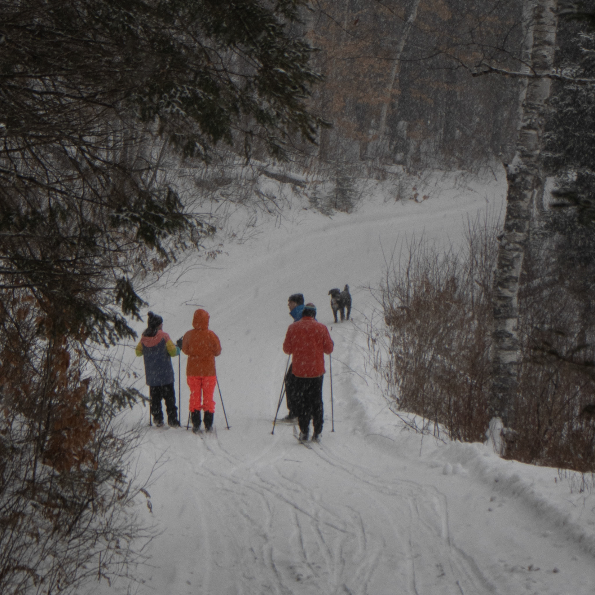 Family Ski #3 - Kaplan-Myrth's skiin'
