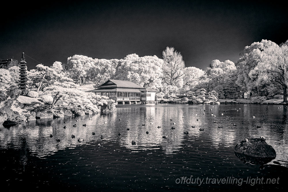 Kiyosumi Garden 04