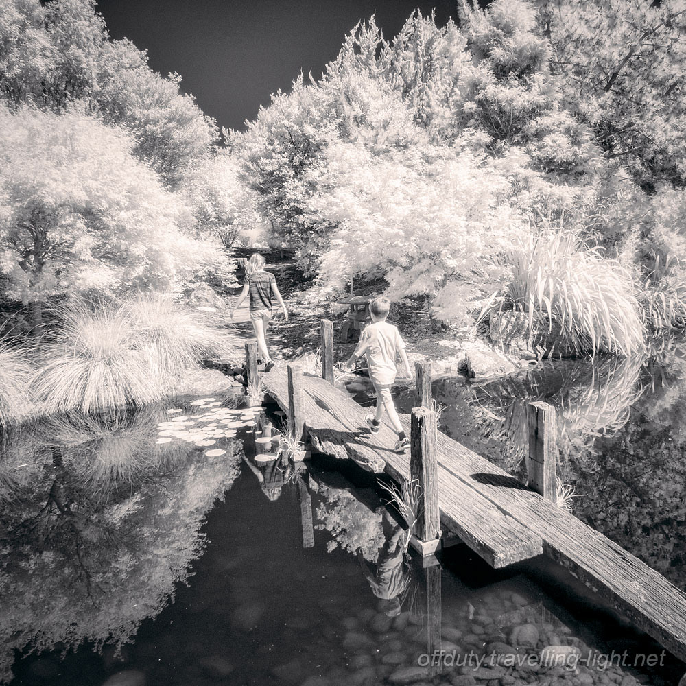 Miyazu Garden 08