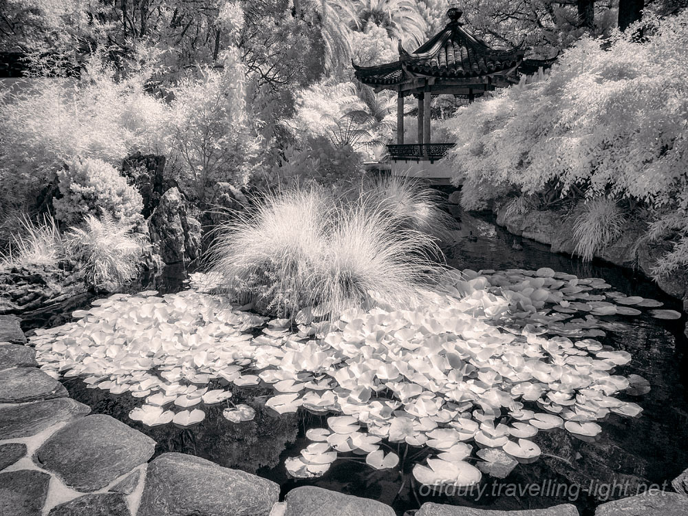 Huangshi Chinese Garden 02