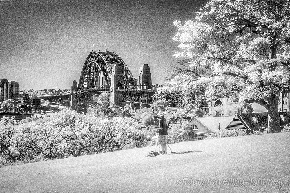Artist, Observatory Hill, Sydney