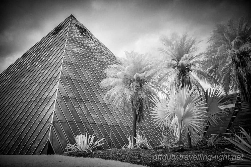 Tropical Centre, Sydney Botanic Gardens