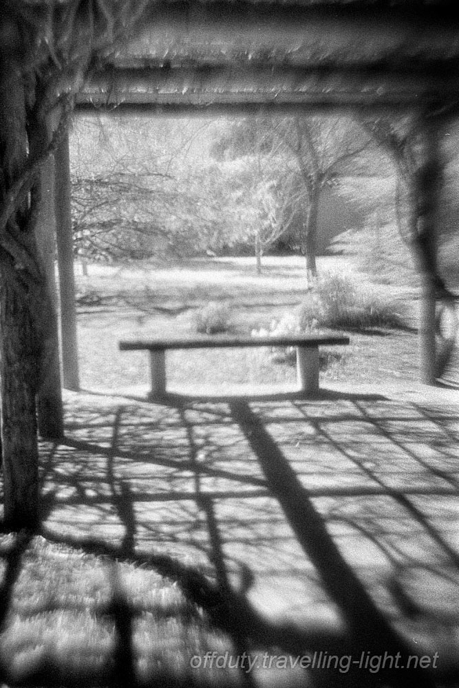 Japanese Garden, Toowoomba 4