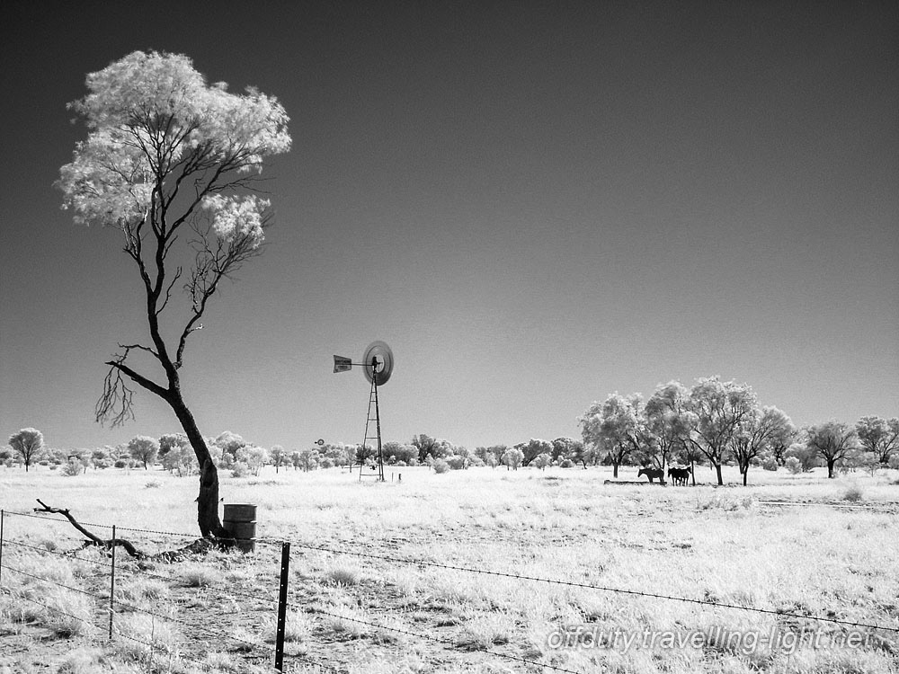 Outback Paddock, Northern Territory