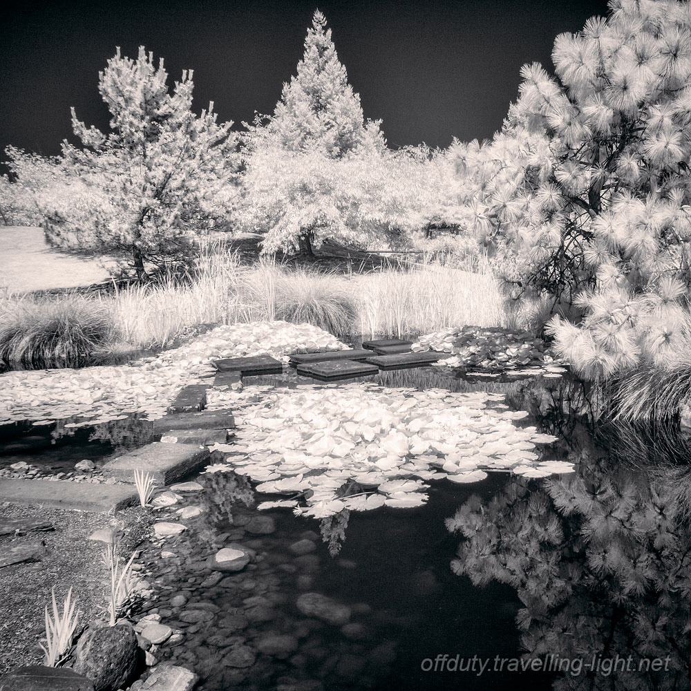Miyazu Garden 12