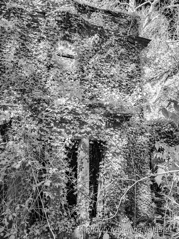 Baron Hill Gatehouse