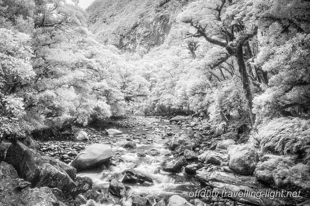 River, Milford Sound, Fiordland