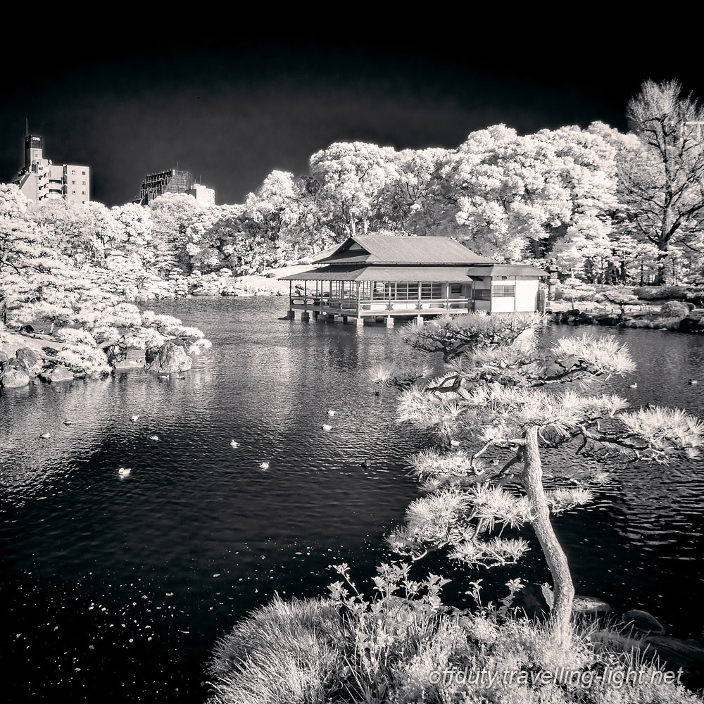 Kiyosumi Garden 08