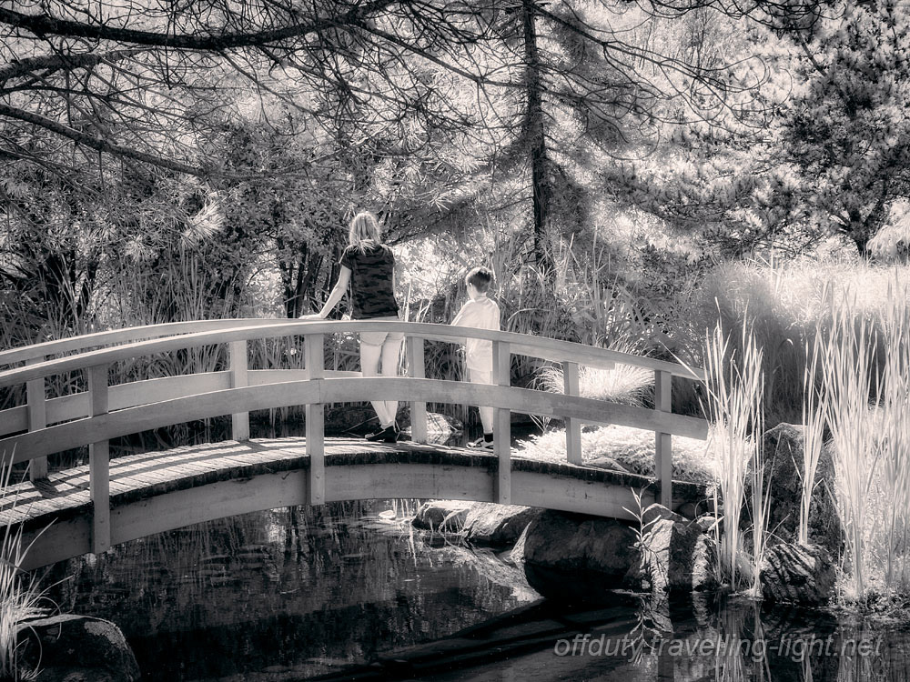 Miyazu Garden 10