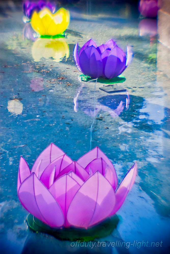 Christchurch Lantern Festival 2