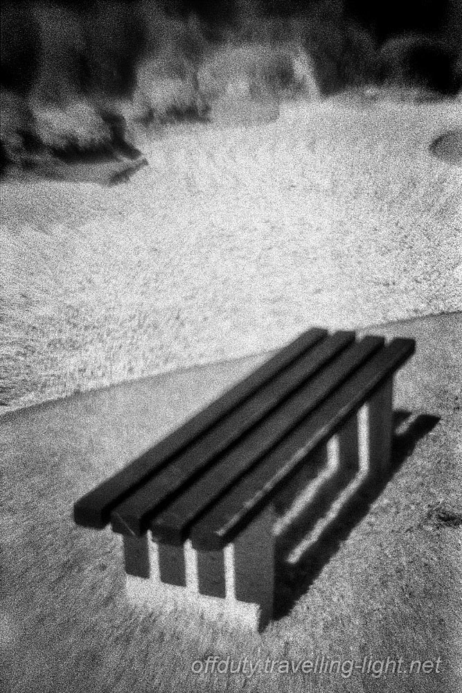 Japanese Garden, Toowoomba 5