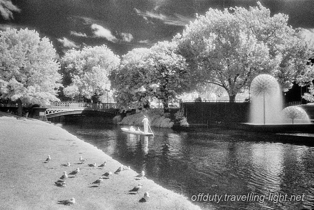 Punt on the Avon, Christchurch