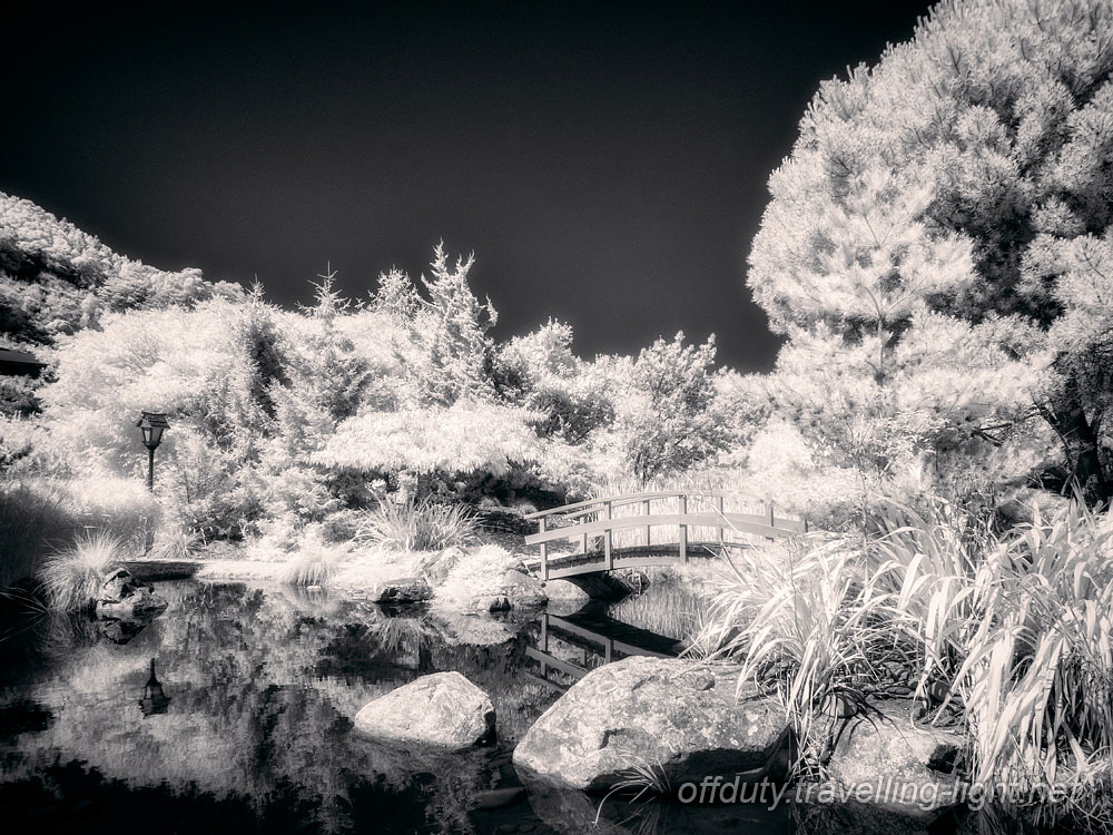 Miyazu Garden 11