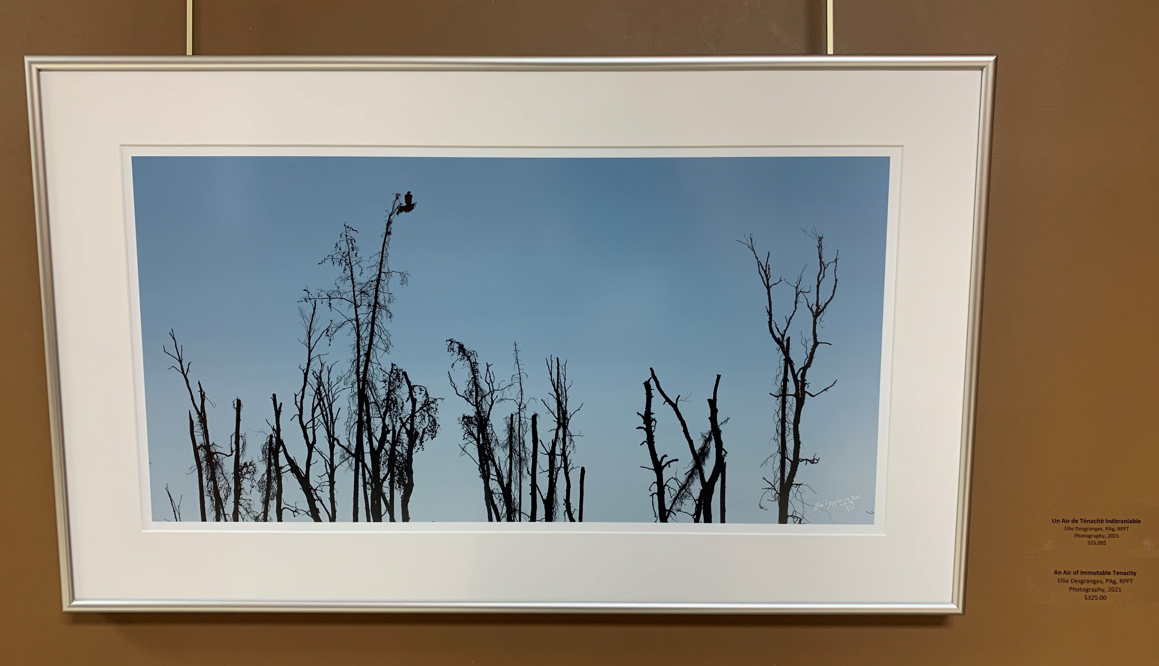 "Un Air de Ténacité Inébranlable", 10x20" / The Eye Gallery, nov-déc 2020