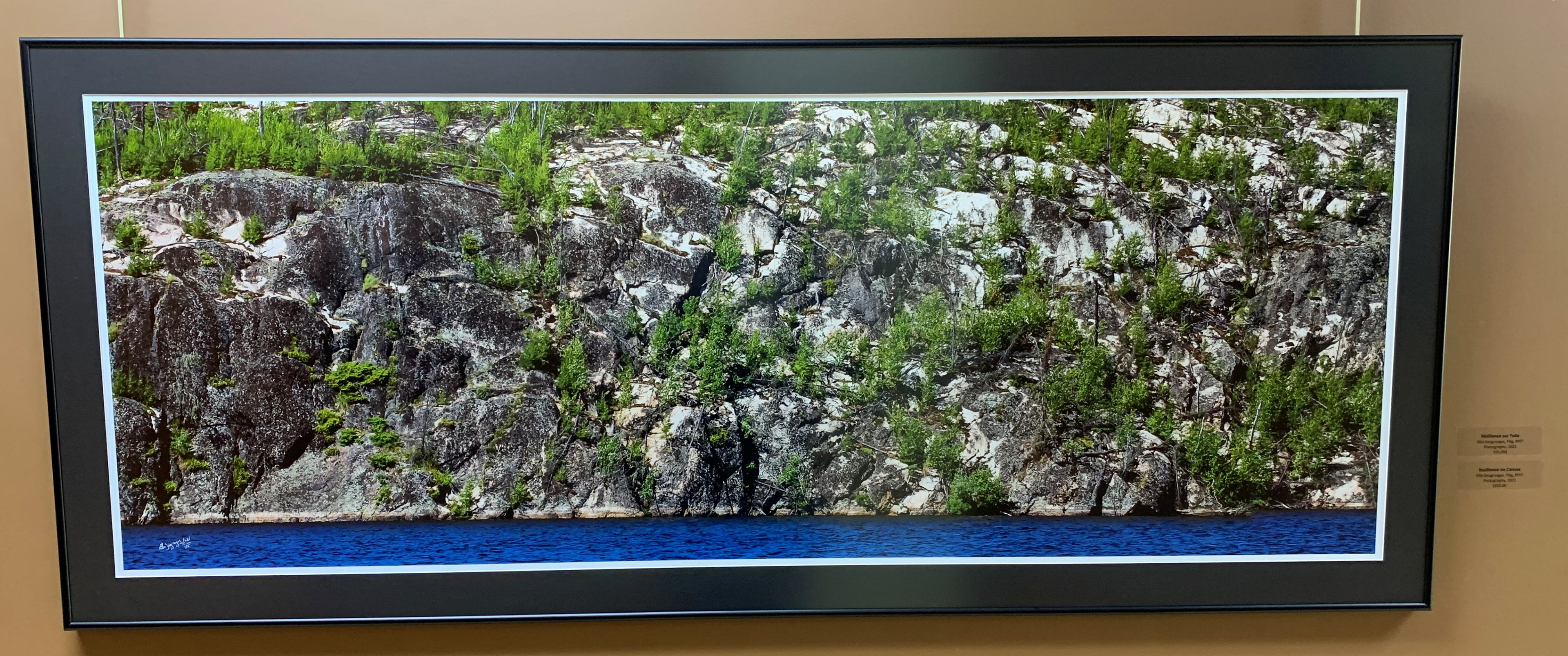 "Résilience sur Toile", 20x55" / The Eye Gallery, nov-déc 2020