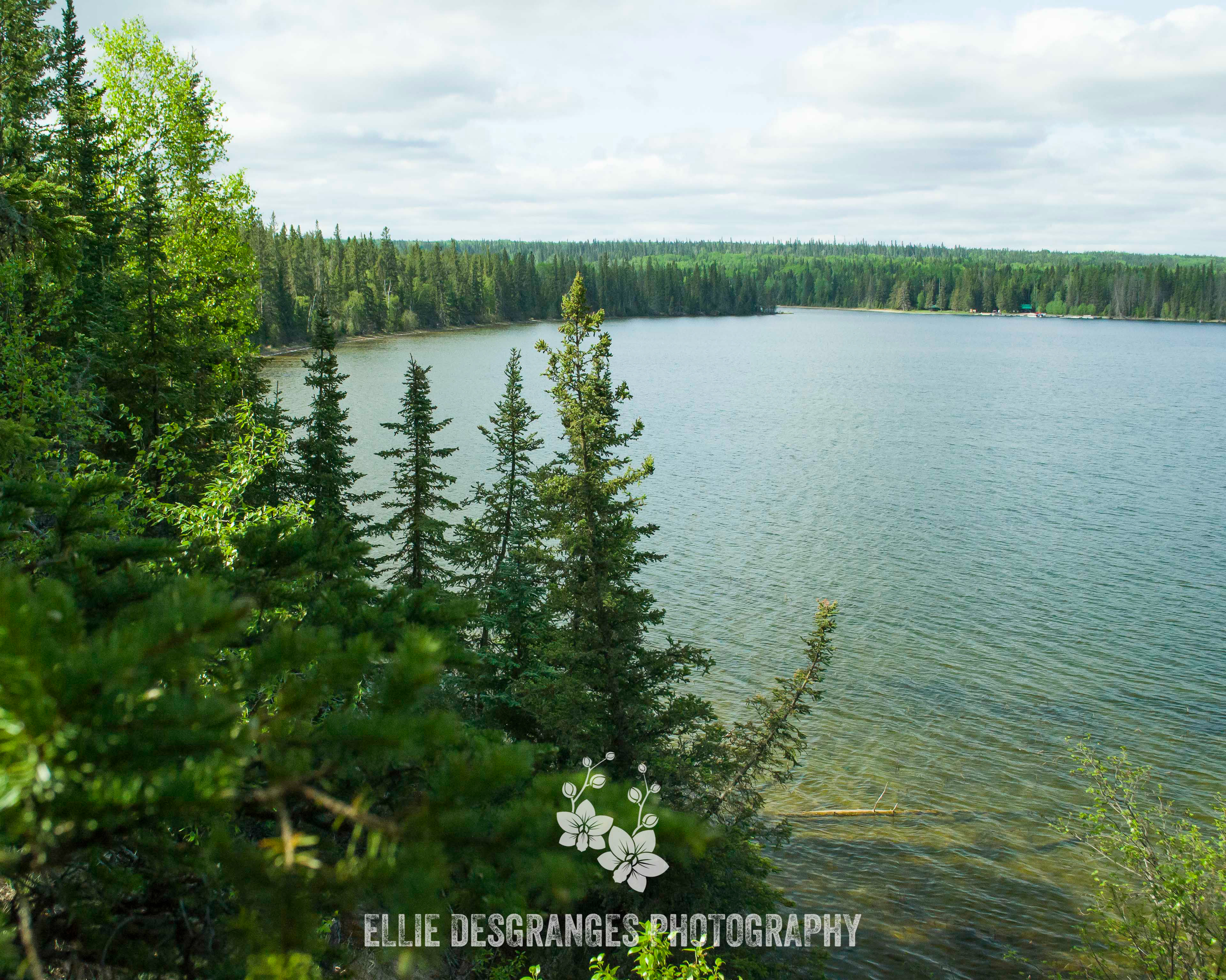 "Péninsule des Narrows", 8x10" / Lac Waskesiu (Narrows)