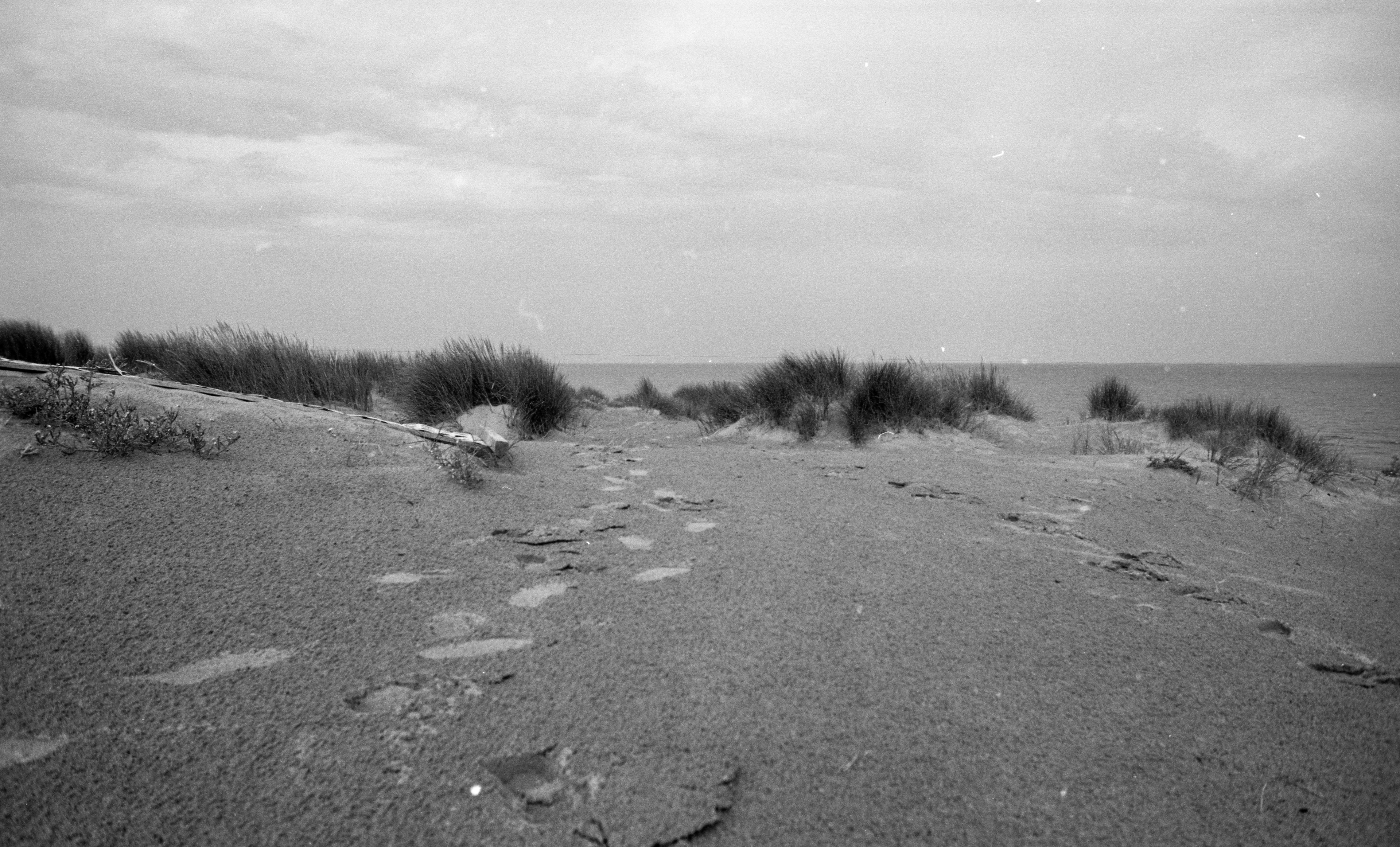 Zomer 2019, op een vrijdag in augustus, maakte ik deze serie aan het strand van De Haan. De wandelaars, 's ochtends vroeg. Om een uurtje of 8:00u op mijn gympen door het natte zand. Ik heb deze wandelaars mogen fotograferen en ik heb wat ze vertelde genoteerd. Wandelaars, bedankt.