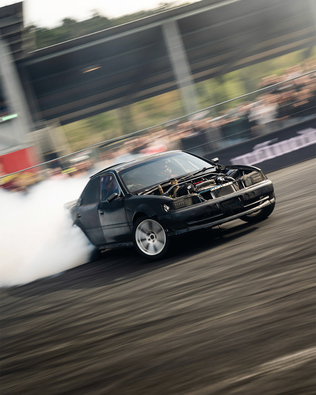 Limitless Society 2025