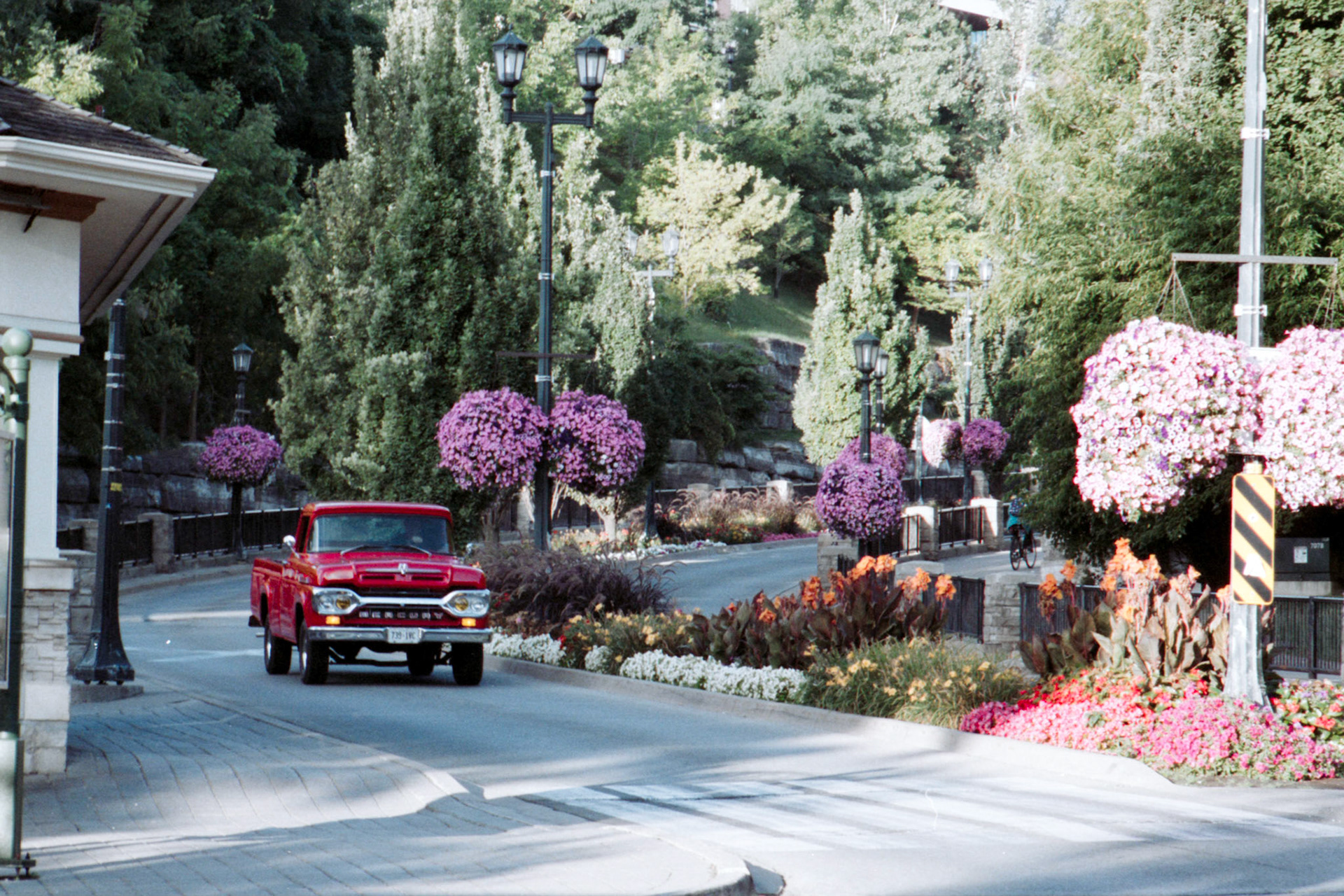 Negative Lab Pro v2.3.0 | Color Model: Noritsu | Pre-Sat: 1 | Tone Profile: LAB - Standard | WB: Auto-Neutral | LUT: Frontier